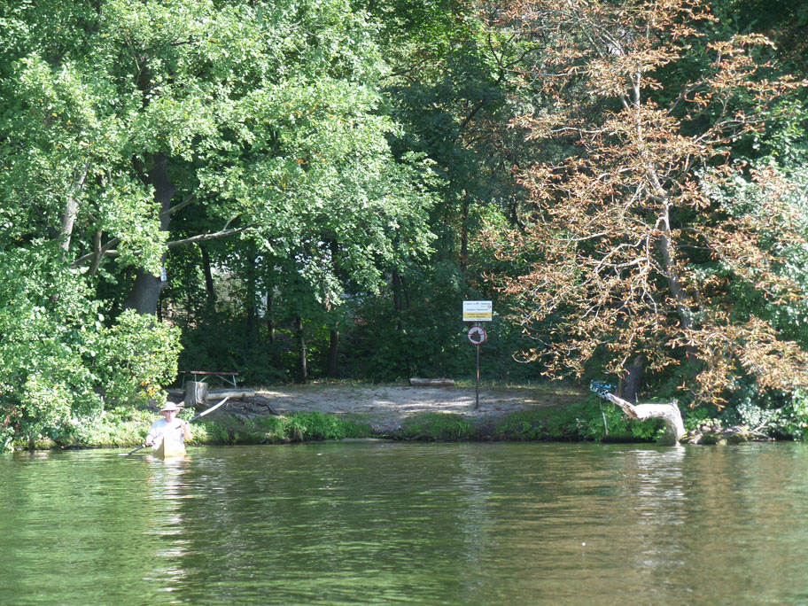 Zwamstrand op Seddinwall