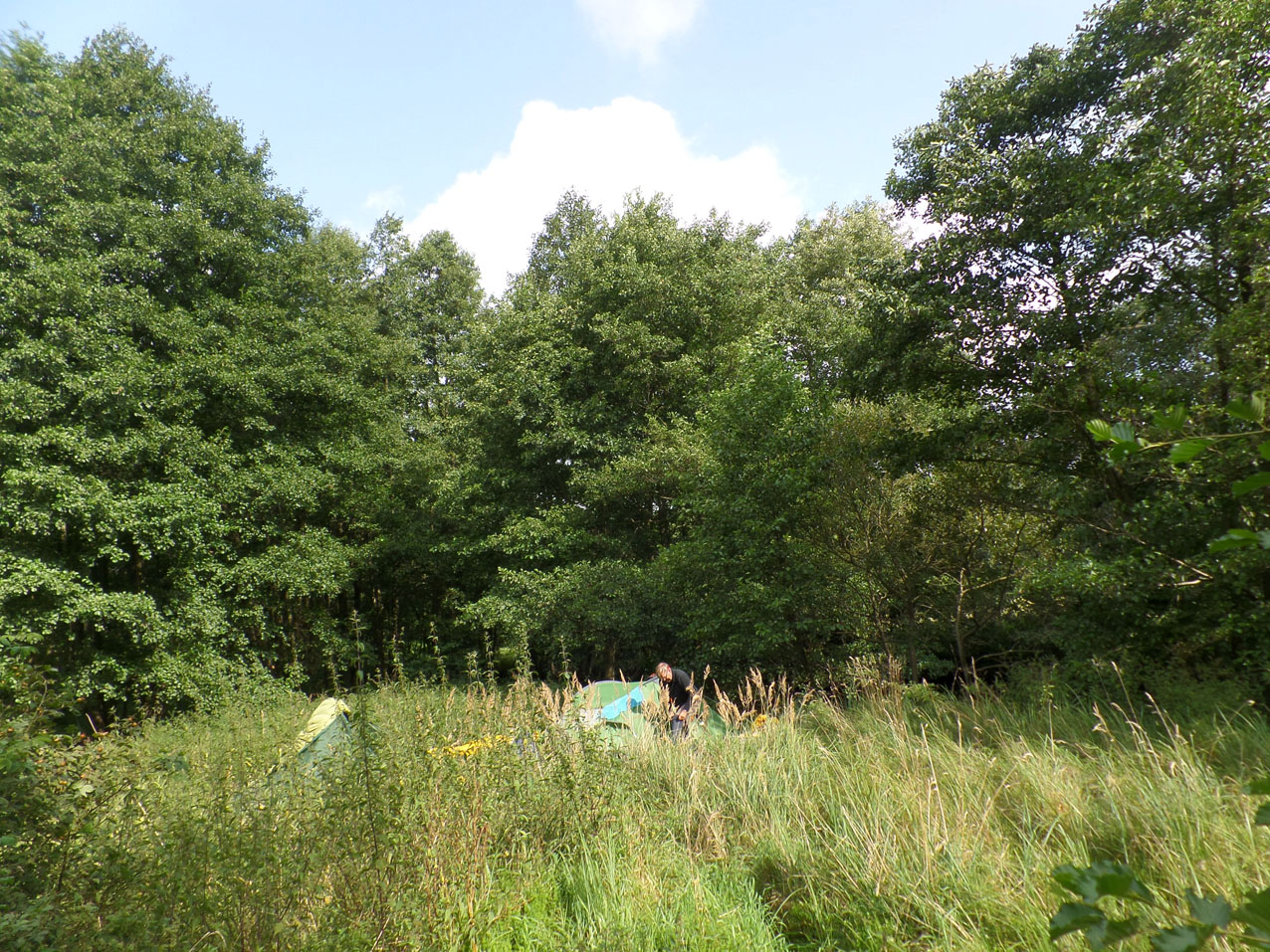 Overnachting tussen de brandnetels anderhalve km voorbij Zippelsförde