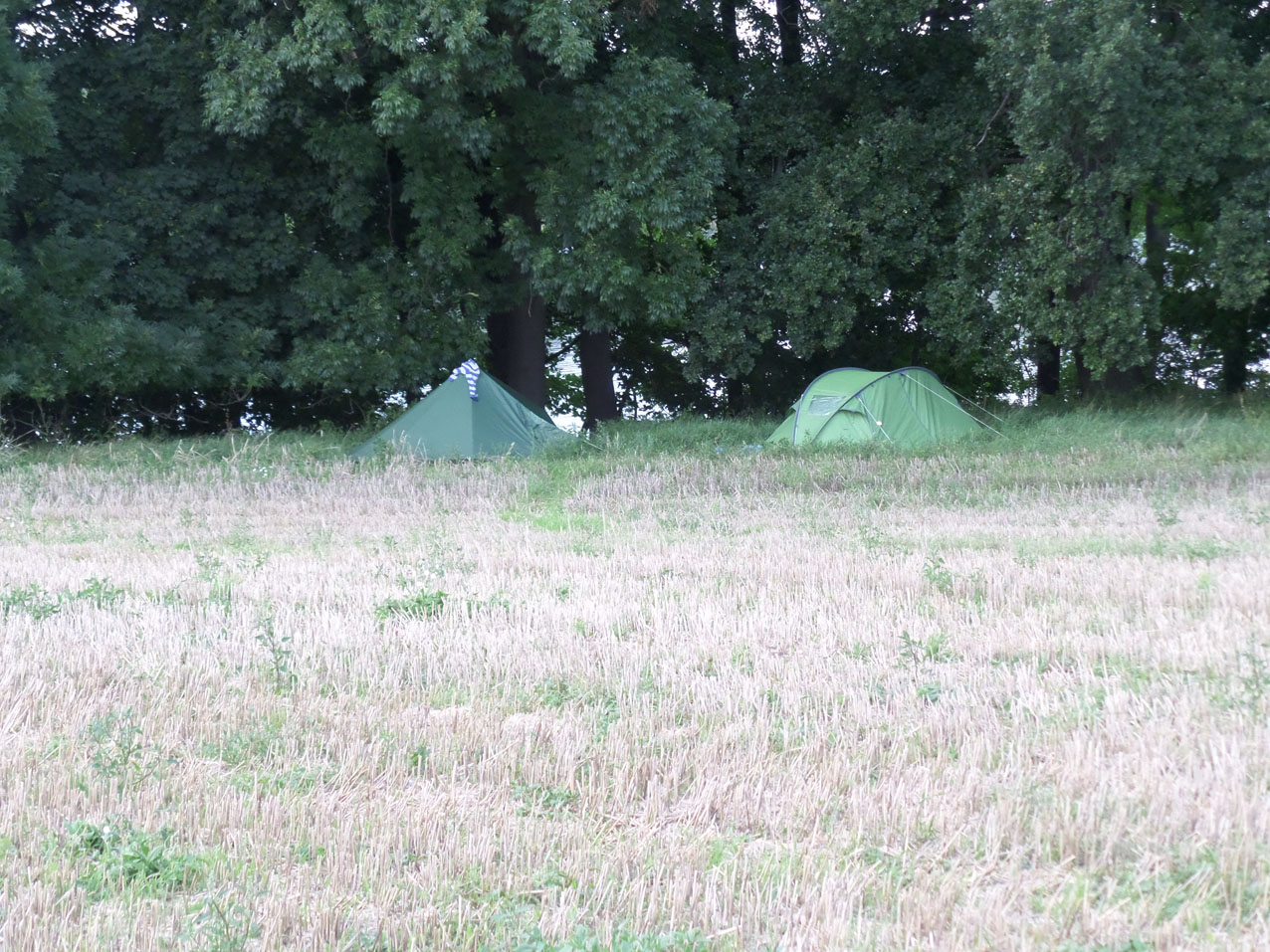 Achter de bomen ligt in het dal de Rupiner See. We staan aan de zuidelijke oever ongeveer bij km-aanduiding 35.