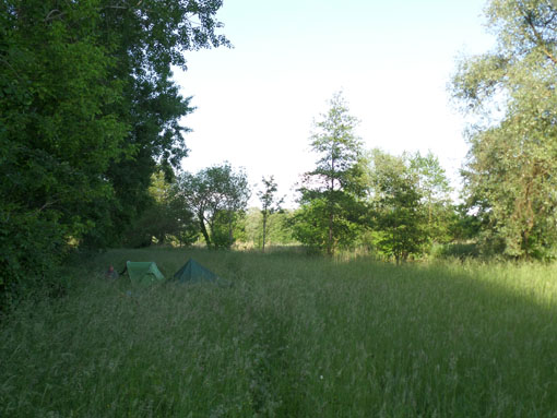 Tentjes in het lange gras naast het Storkower Kanal