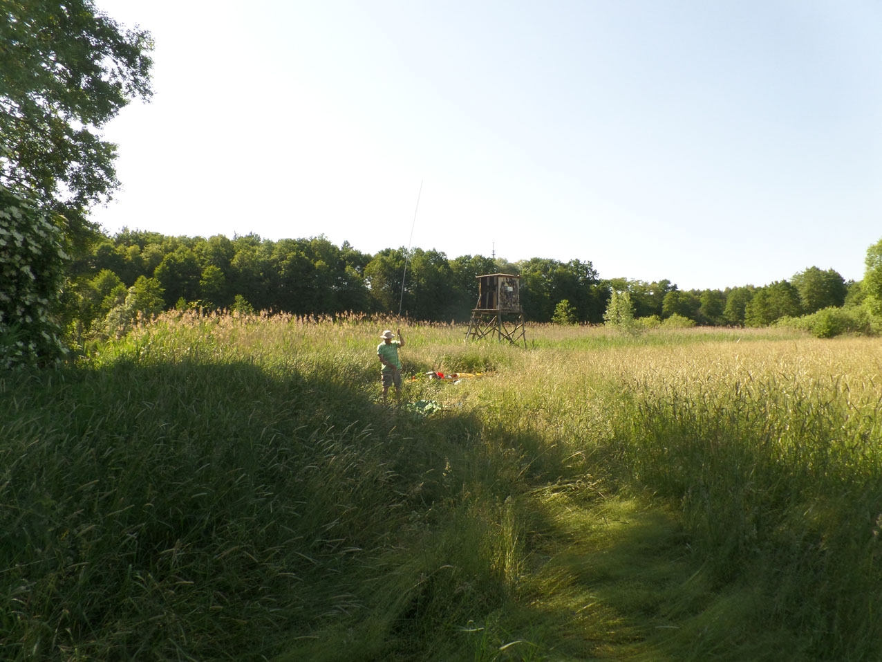 SAMSUNG CAMERA PICTURES