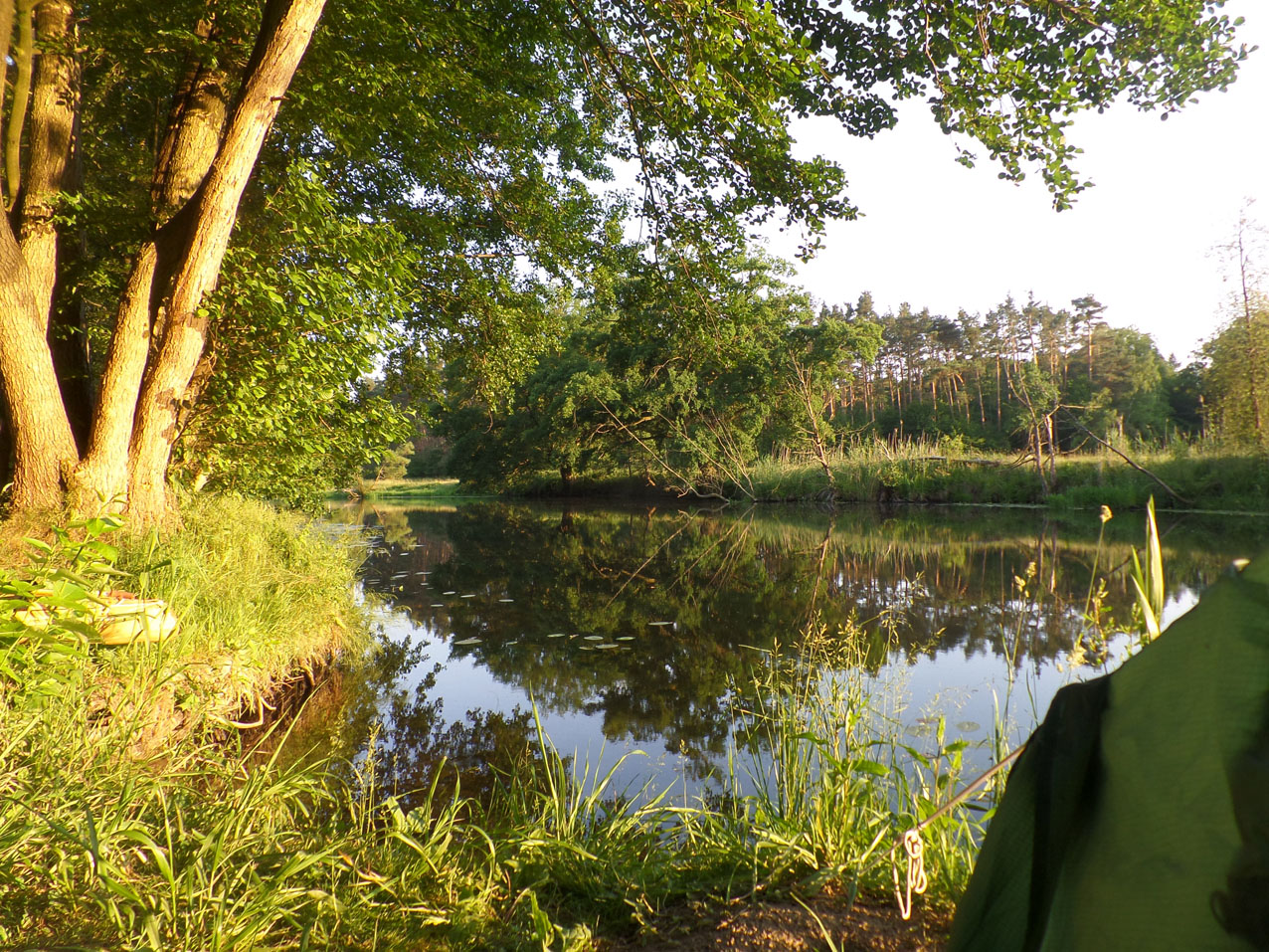 Drahendorfer Spree kijkend richting Neubrück
